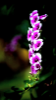 upload_2023-4-24_22-11-31.png