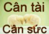 Can tai.jpg