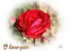 imagesCAO19TLO.jpg