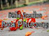 Noi buon hoa phuong.jpg
