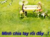 Gia-vo-thoi-2.jpg