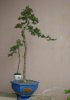 DSC07437.jpg