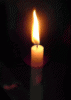 cmHoaSen08x1.gif