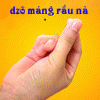 dzô.gif