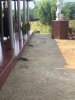 IMG_5833.jpeg