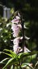 upload_2023-6-15_18-14-3.png