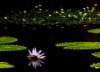 upload_2023-6-18_17-5-45.png