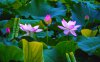 upload_2023-6-25_22-10-18.png