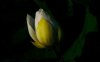 upload_2023-7-17_14-50-33.png