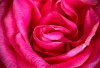 upload_2023-8-15_9-33-49.png