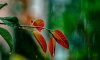 upload_2023-8-16_10-16-34.png