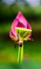 upload_2023-9-3_10-24-24.png