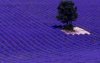 10371368_869335923091504_902529989721926355_n.jpg