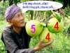 Già háp....mê...Bưởi 5 roi....JPG