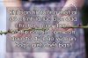 anh-facebook-loi-chua-noi-15.jpg