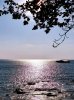 IMG_1267.jpeg