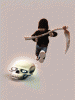 hinh-nen-dong-72.gif