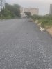 IMG_6704.jpeg