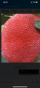 IMG_6491.png