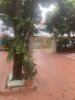 IMG_7062.jpeg