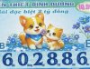 IMG_0936.jpeg