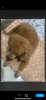 IMG_8101.png