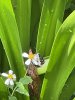 IMG_1107.jpeg