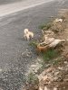 IMG_8184.jpeg
