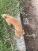 IMG_8185.jpeg