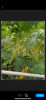 IMG_8284.png