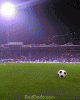 soccer176x220.gif