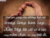 nhung_cham_ngon_ve_tinh_yeu_hay_va_y_nghia20130130110554.jpg