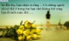 nhung_cham_ngon_ve_tinh_yeu_hay_va_y_nghia20130130110606.jpg