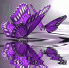 buomtim.gif
