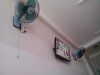 IMG_20141109_113530.jpg