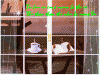2p2.gif