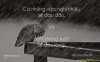 status-hay-ve-tinh-yeu-31.jpg