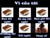 2456.jpg