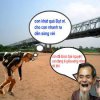 giữa sông.jpg