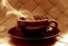 cafe.jpeg
