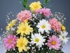 Flower-50.jpg