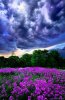 7f81228d460b075dff0ccd8d781acaae.jpg