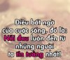 nhung-cau-noi-that-tinh-buon-2.jpg