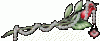 FST.gif