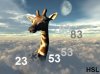 giraffe_in_space_20101108_1164745634.jpg