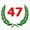 47.jpg