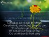 status-y-nghia-cho-cuoc-song.jpg
