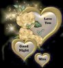 love you good night.jpg