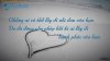 facebook-trich-dan-hay-tinh-yeu-cuoc-song-20.jpg