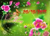 chúc-mừng-ngày-20-10-dành-cho-phụ-nữ-1.jpg